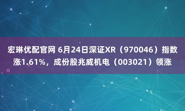 宏琳优配官网 6月24日深证XR（970046）指数涨1.61%，成份股兆威机电（003021）领涨