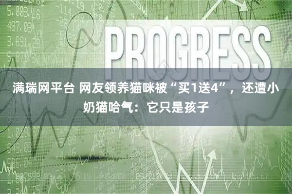 满瑞网平台 网友领养猫咪被“买1送4”，还遭小奶猫哈气：它只是孩子