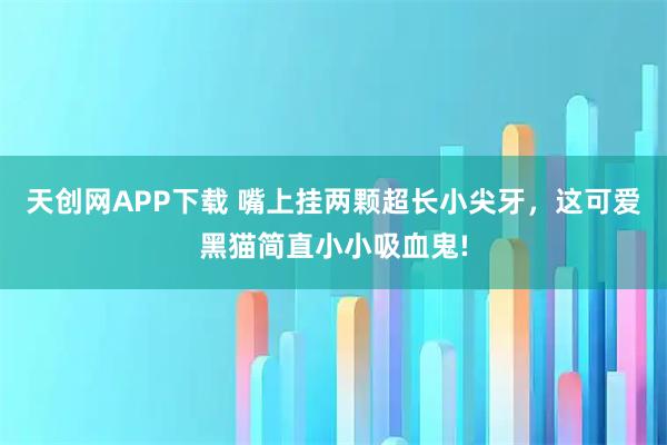 天创网APP下载 嘴上挂两颗超长小尖牙，这可爱黑猫简直小小吸血鬼!